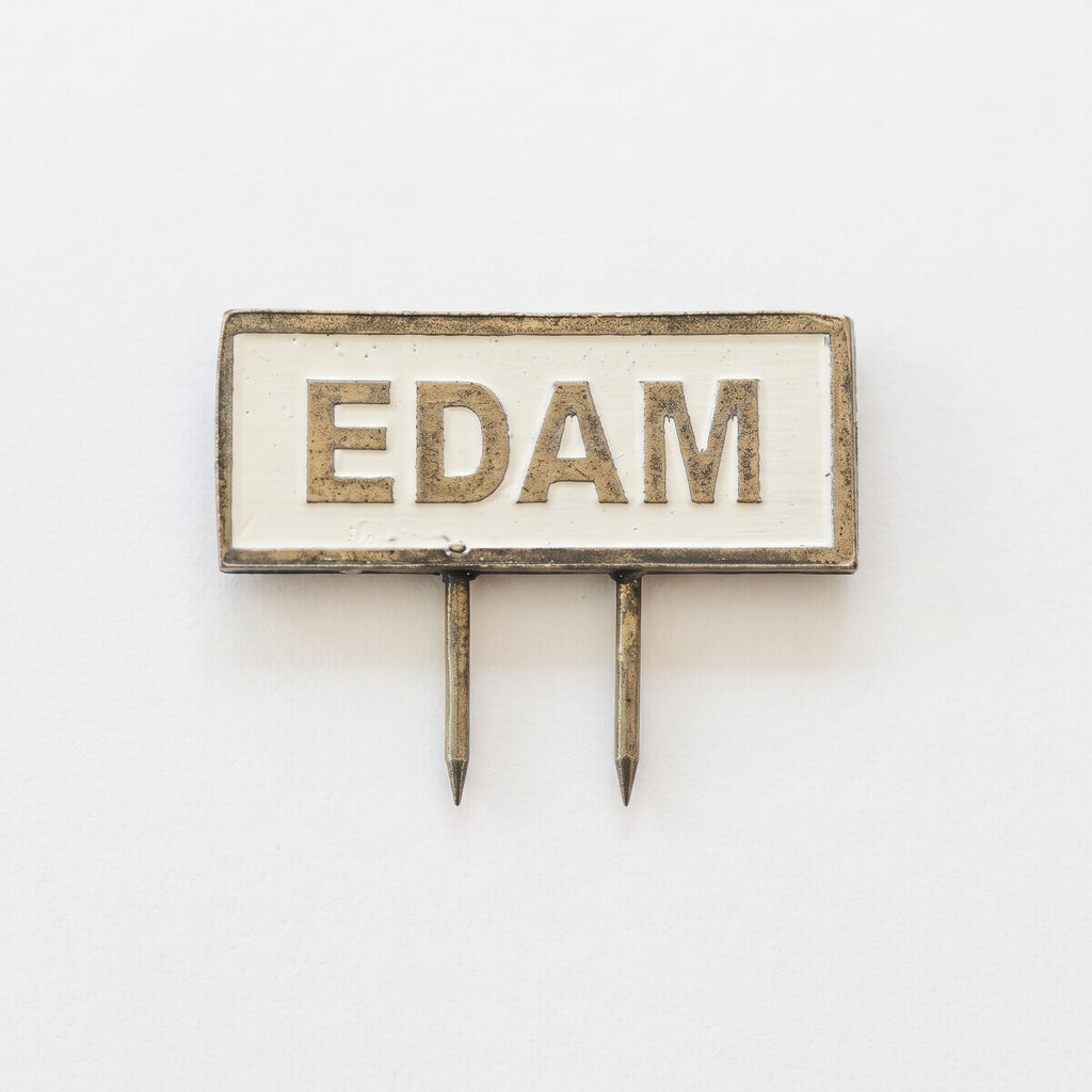 Metal Cheese Food Pin EDAM