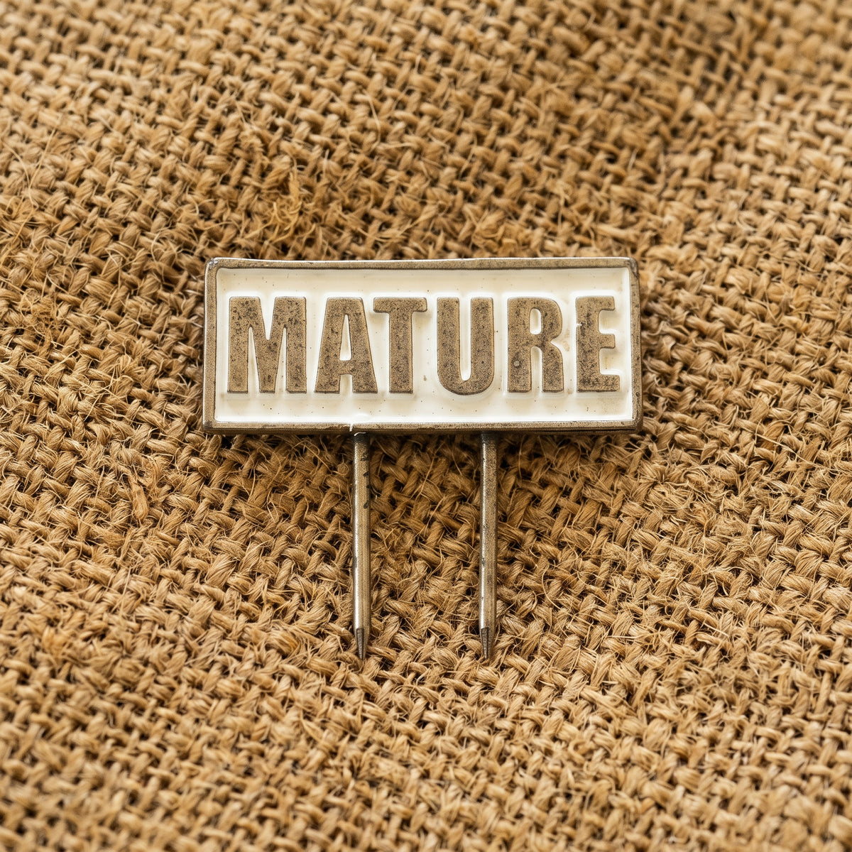 Metal Cheese Food Pin MATURE